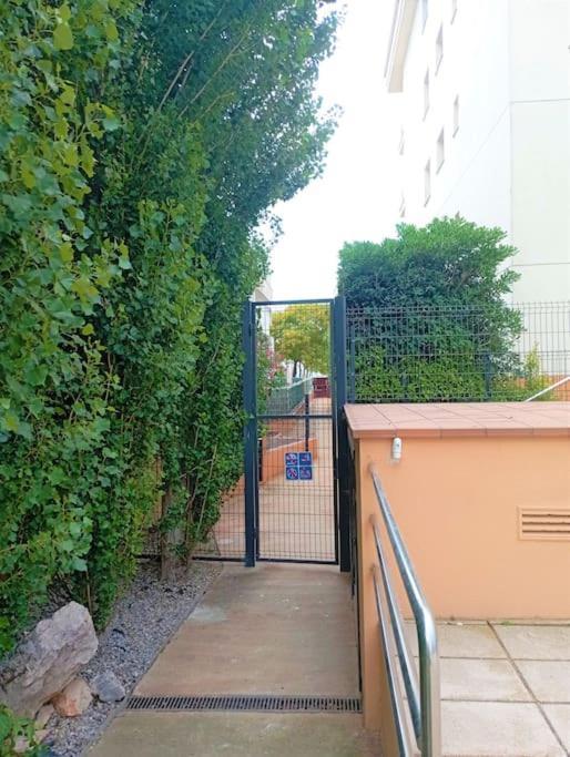 Apartamento En Primera Linea De Mar Roses Exterior photo